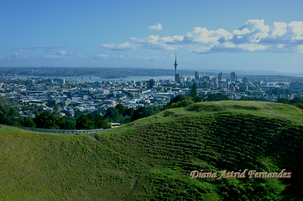 New-Zealand-overlooking-Auckland-from-Mt.-Eden